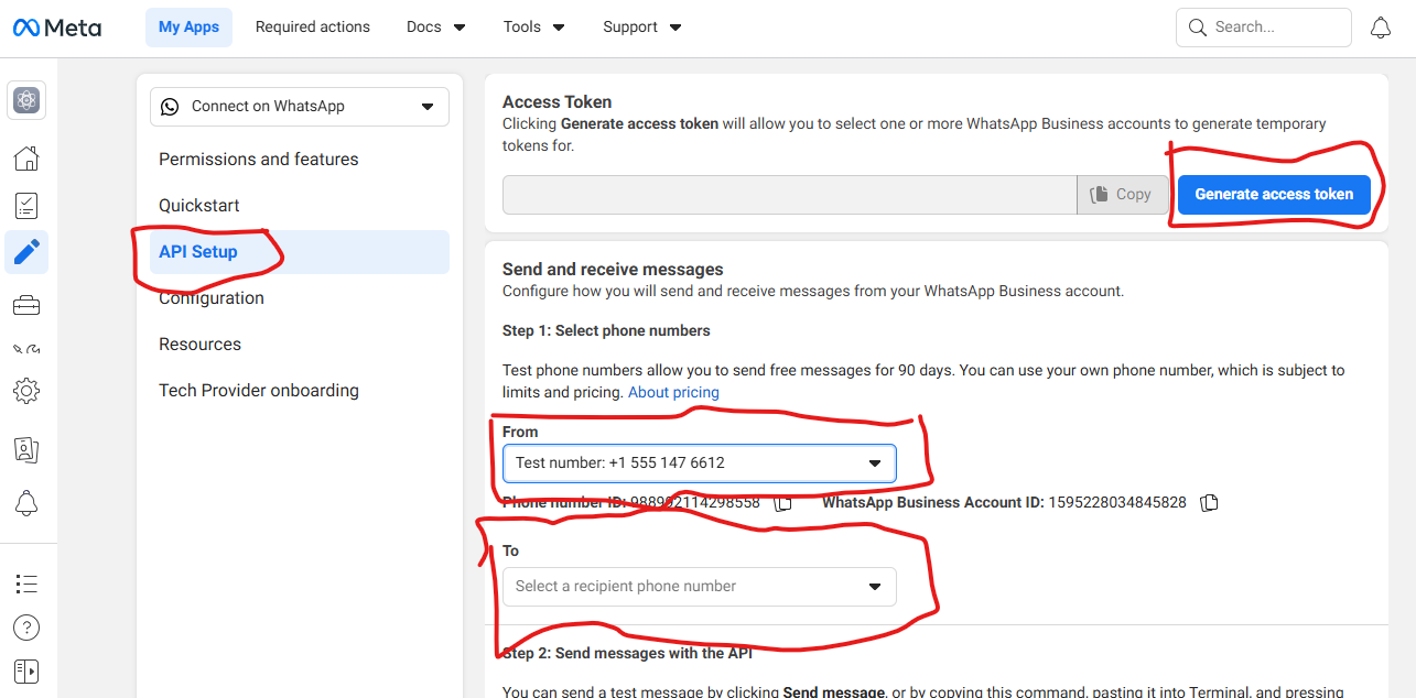WhatsApp API Setup Tokens and IDs
